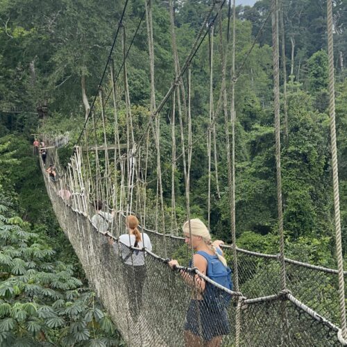 Canopywalk at Kakum